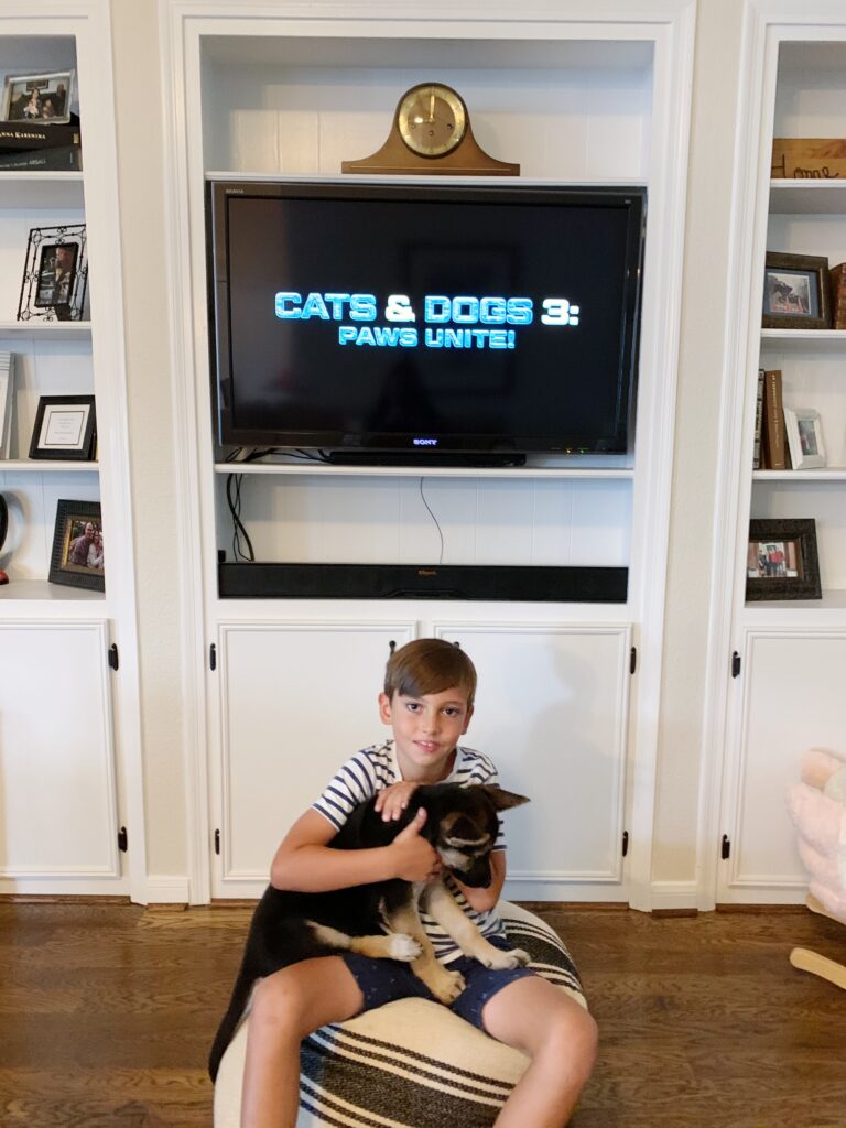 Cats & Dogs 3: Paws Unite! Movie